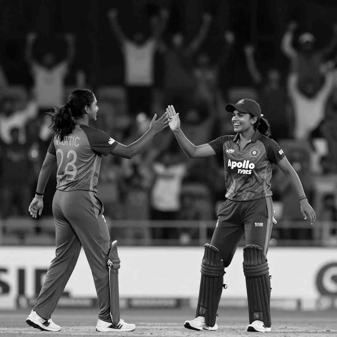 প্রমাণের চেইন: ক্রিকেট বিশ্লেষণে খালি পাতা কেন ভয়ংকর